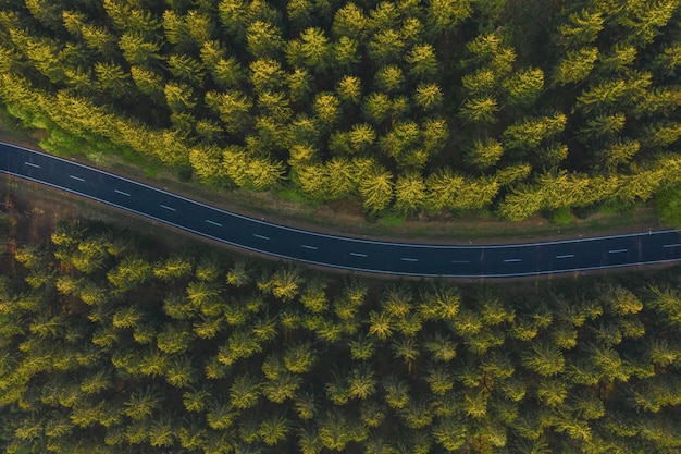 Carretera aérea curva desde un dron