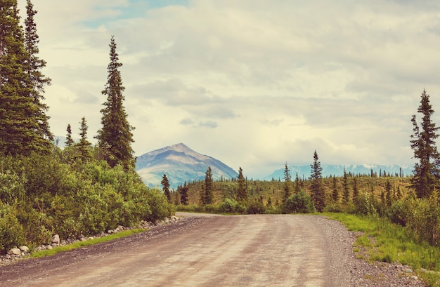 Carretera en Alaska, Estados Unidos