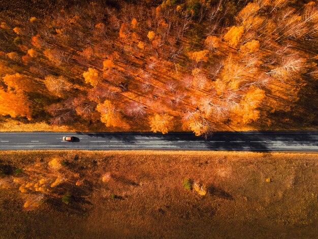 Carretera con árboles amarillos en las montañas de otoño al atardecer Conducción de automóviles en la carretera asfaltada