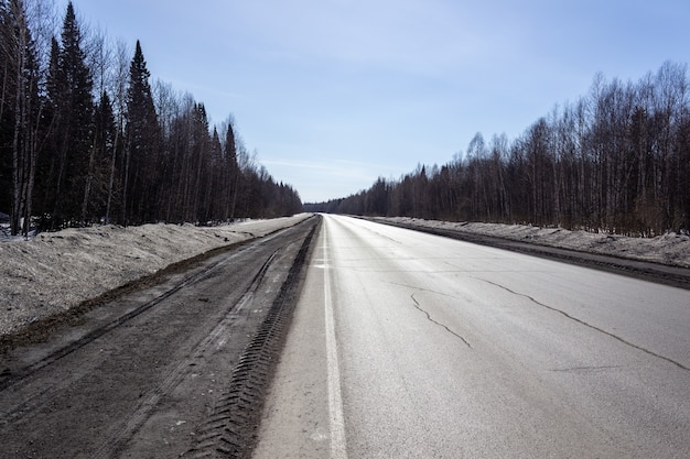 Carretera asfaltada en el bosque. Un hermoso viaje