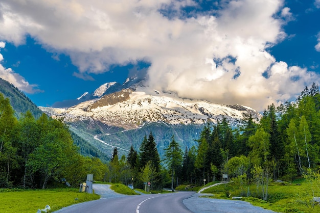 Carretera asfaltada entre bosques de pinos en las montañas Chamonix Mont Blan