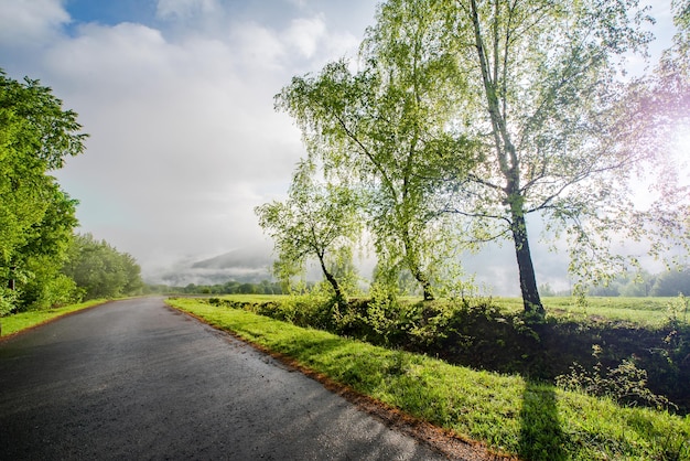 Carretera asfaltada cerca de las montañas en la niebla al amanecer concepto de viaje luz de la mañana temporada de primavera