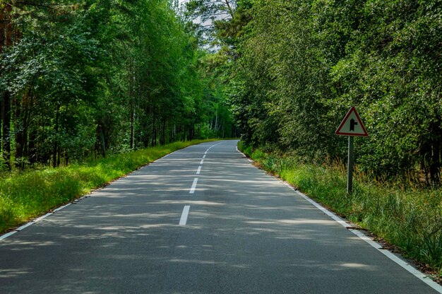 Carretera asfaltada de dos carriles con marcas blancas en el bosque