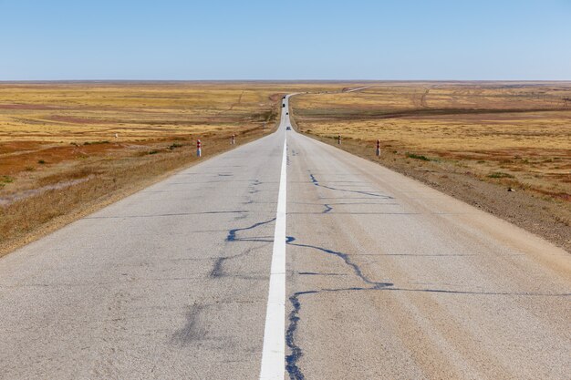 Carretera asfaltada en la estepa mongol.