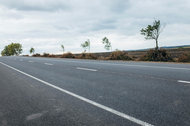 Carretera asfaltada con fondo de marcas blancas