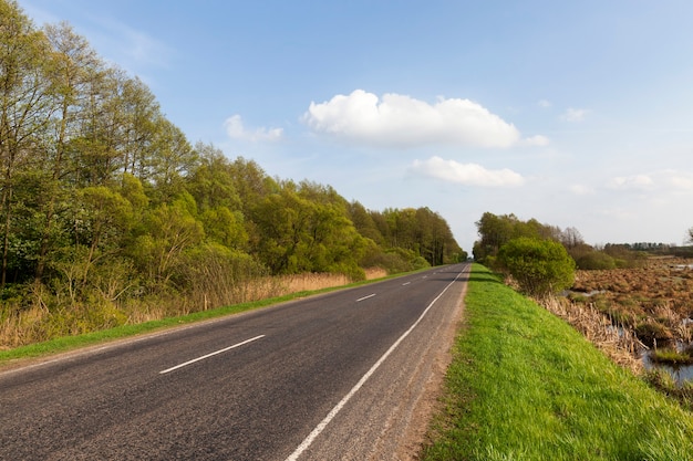 Una carretera asfaltada a los lados de la cual crece un bosque con árboles y un campo con plantas agrícolas.