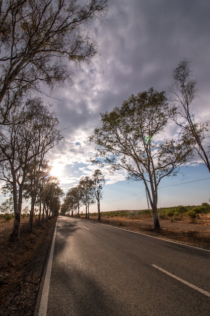 Carretera asfaltada larga en el hermoso campo.