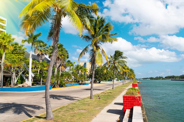 Carretera asfaltada a lo largo de la costa tropical con palmeras y edificios en un sendero lateral en el paseo marítimo de Varadero, Cuba