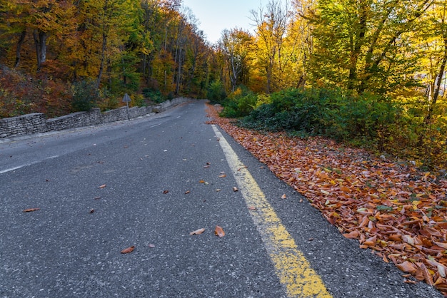 Carretera asfaltada a lo largo de las montañas en la temporada de otoño