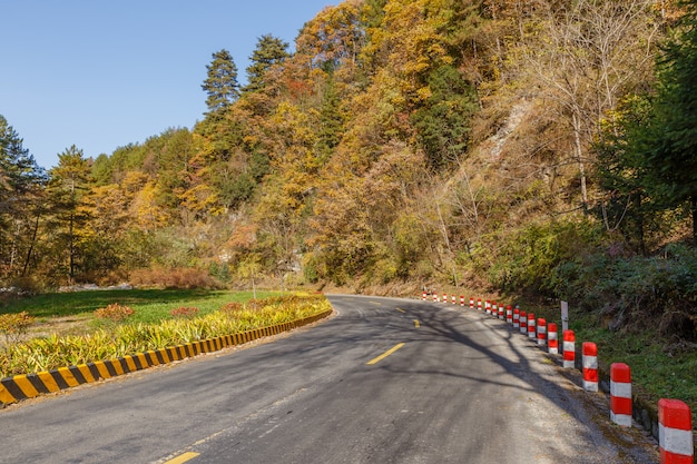 Carretera asfaltada en las montañas.