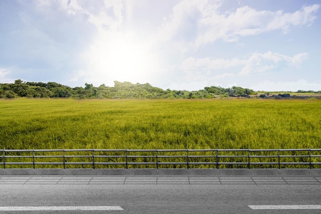 Carretera asfaltada con pasto verde