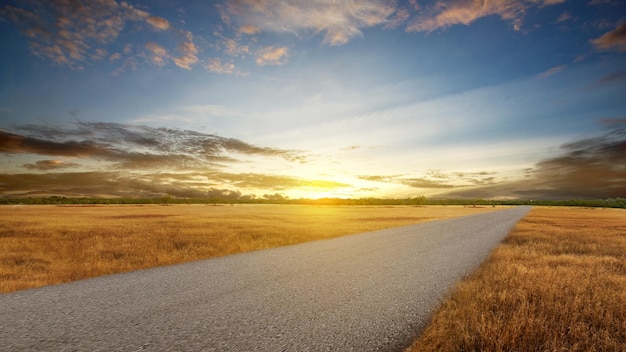 Carretera asfaltada con pasto verde