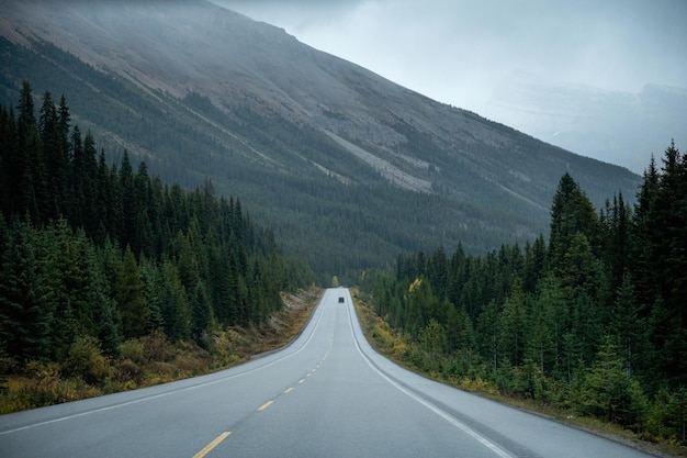 Carretera asfaltada recta con montañas rocosas en un día sombrío de otoño en el parque nacional de Banff, Canadá