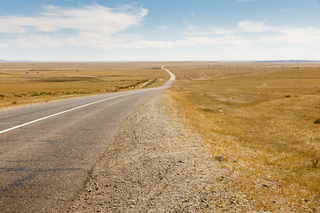 Carretera asfaltada Sayshand-Choir en Mongolia