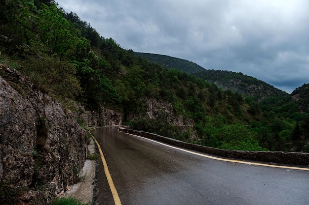 Carretera asfaltada a través del bosque de las montañas en temporada de lluvias