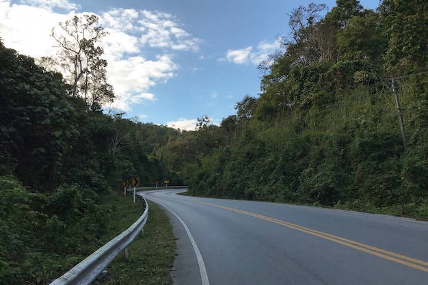 Carretera asfaltada a través del bosque.