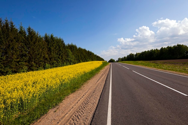 la carretera asfaltada