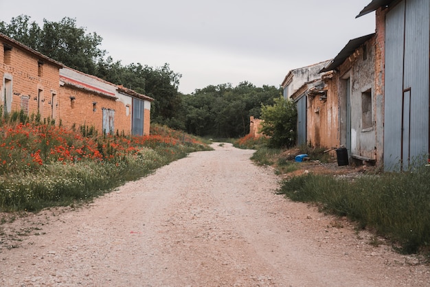 Carretera sin asfaltar y antiguas casas de adobe rodeadas de árboles bajo un cielo nublado concepto de ciudad abandonada