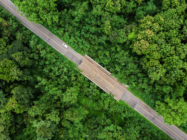 Carretera de asfalto con bosque tropical verde en el campo de Tailandia