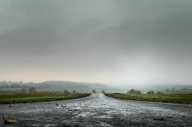 Carretera de asfalto húmeda en otoño con hojas y charcos con campo y árboles en la neblina y el cielo sombrío