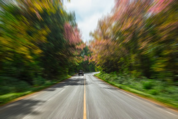 Carretera de asfalto del país en el desenfoque de movimiento.