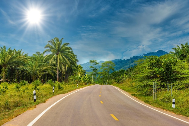 Carretera de asfalto en las selvas Parque Nacional Khlong Phanom Ka