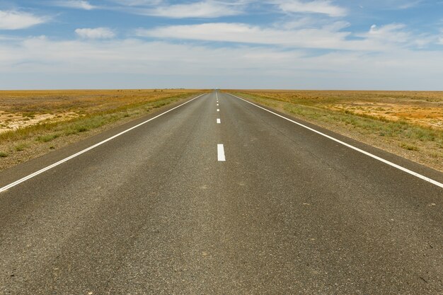 Carretera de asfalto vacía a través de la estepa, Kazajstán, distrito de Yrgyz