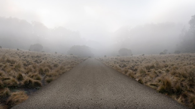 carretera de asfalto