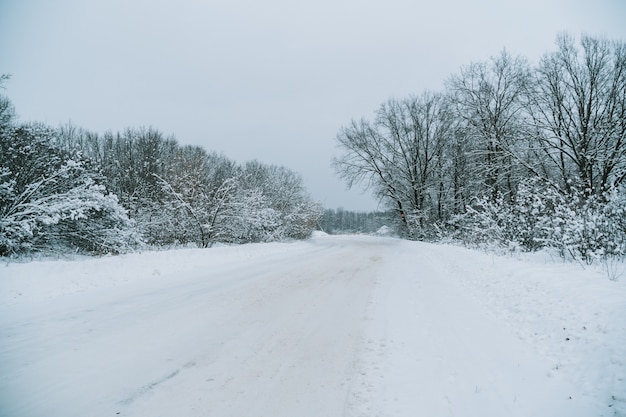 Una carretera en un bosque cubierto de nieve en invierno.