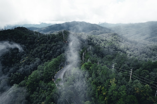 Carretera en el bosque, temporada de lluvias, árboles de naturaleza y viajes de niebla