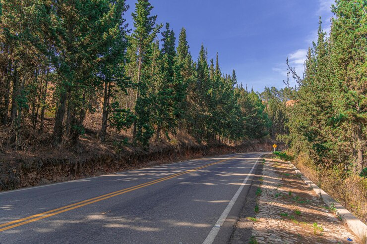carretera de camino a Mizque hermosa carretera rodeada de pinos en la montaña
