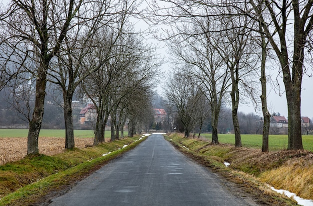 Carretera de campo en invierno en los Sudetes, Polonia