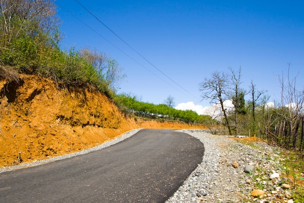 Carretera y carretera vacías en Georgia durante la luz del sol, el cielo azul y los árboles