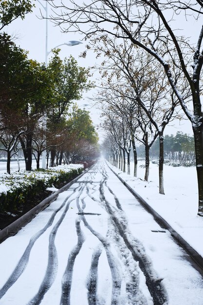 Foto carretera cubierta de nieve en medio de árboles contra el cielo