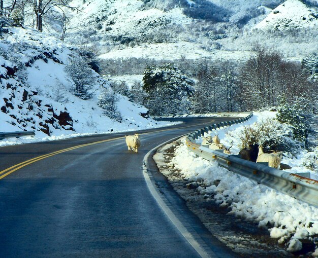 Foto carretera cubierta de nieve vista a través del parabrisas del coche