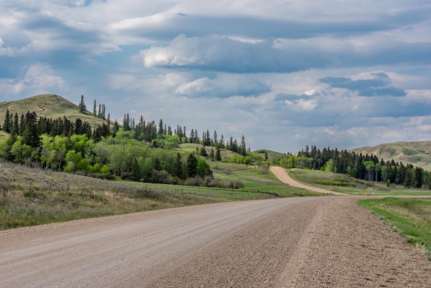Una carretera en Cypress Hills Interprovincial Park Saskatchewan