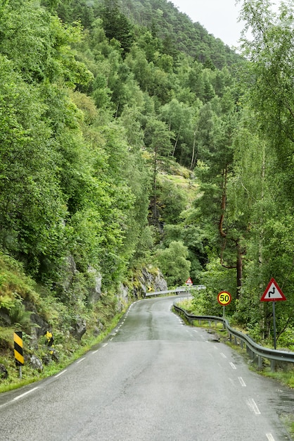 Carretera desierta entre colinas verdes