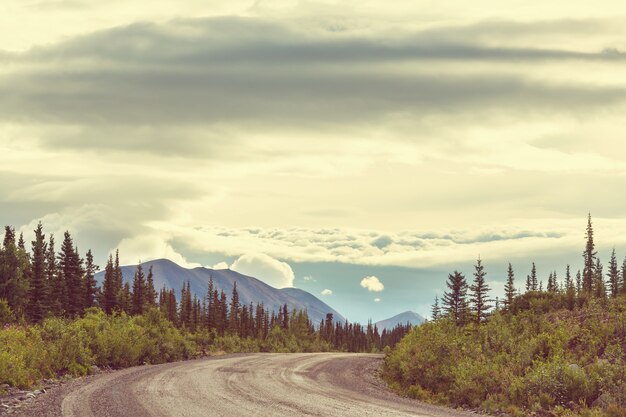 Carretera escénica en Alaska, EE. UU.