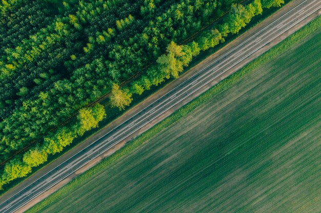 Carretera escénica en campo y bosque