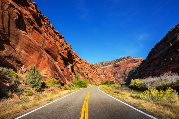 Carretera escénica en las montañas.