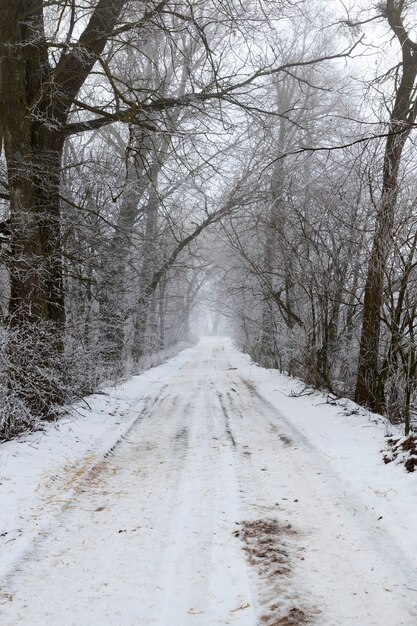 La carretera está cubierta de nieve en la temporada de invierno.