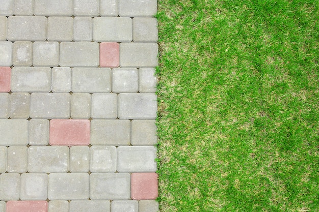 La carretera de fondo natural está pavimentada con adoquines entre césped Alley en el patio trasero