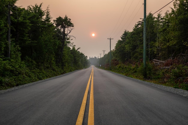 Carretera forestal escénica durante un vibrante día de verano