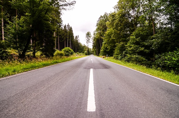 Carretera forestal europea de asfalto en Westfalia Alemania