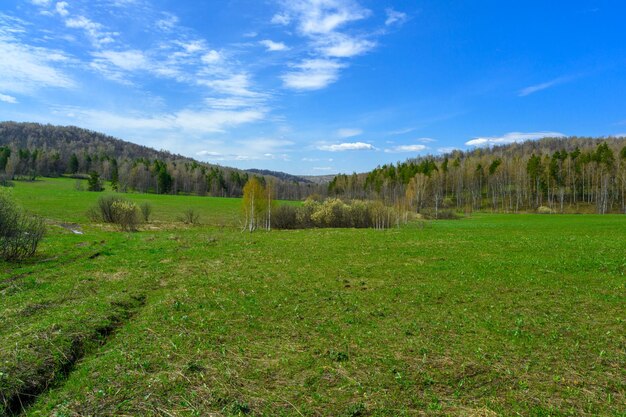 Carretera forestal ural sur con una vegetación paisajística única y diversidad de naturaleza en primavera