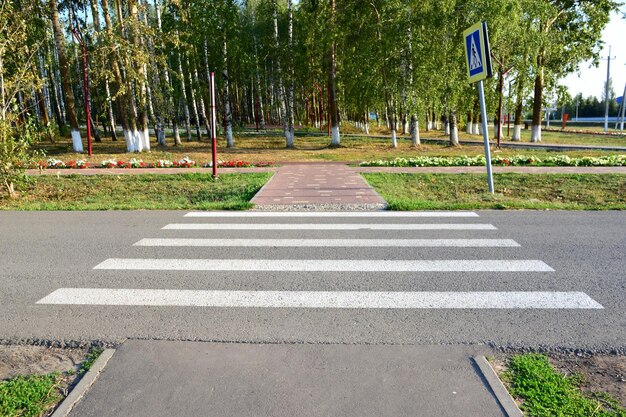 carretera de hormigón con cruce y parque público en el fondo de cerca