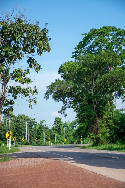 Foto carretera en medio de árboles contra el cielo en la ciudad