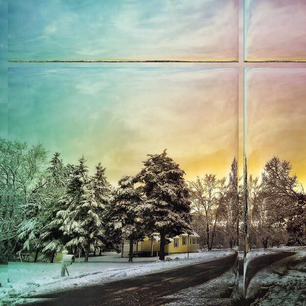 Foto carretera en medio de árboles contra el cielo durante el invierno