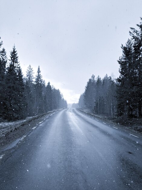 Foto carretera en medio de árboles contra el cielo durante el invierno