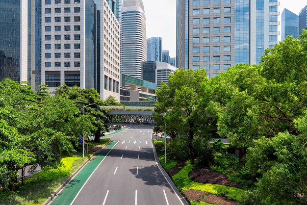 Foto carretera en medio de árboles y edificios en la ciudad